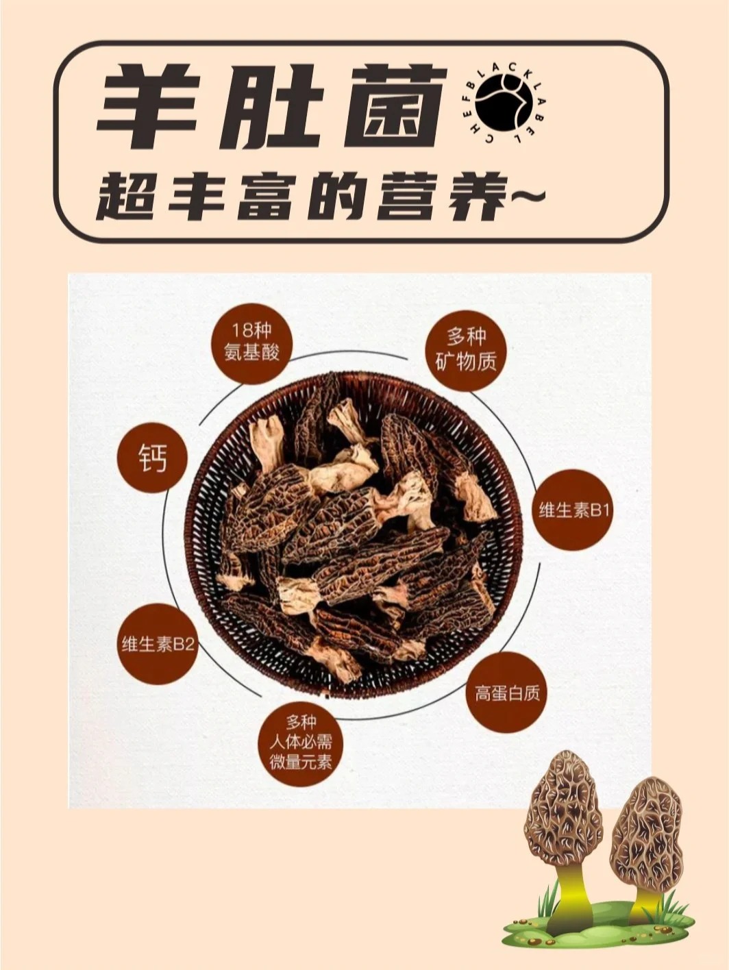 羊肚菌的6大功效，这几类人更适合吃！_4_黑标主厨_来自小红书网页版